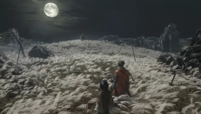 只狼:影逝二度/Sekiro™: Shadows Die Twice(v1.06年度版)