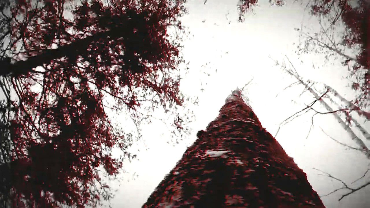 2020061430434515 狼人之末日怒吼:地灵之血/Werewolf: The Apocalypse Earthblood