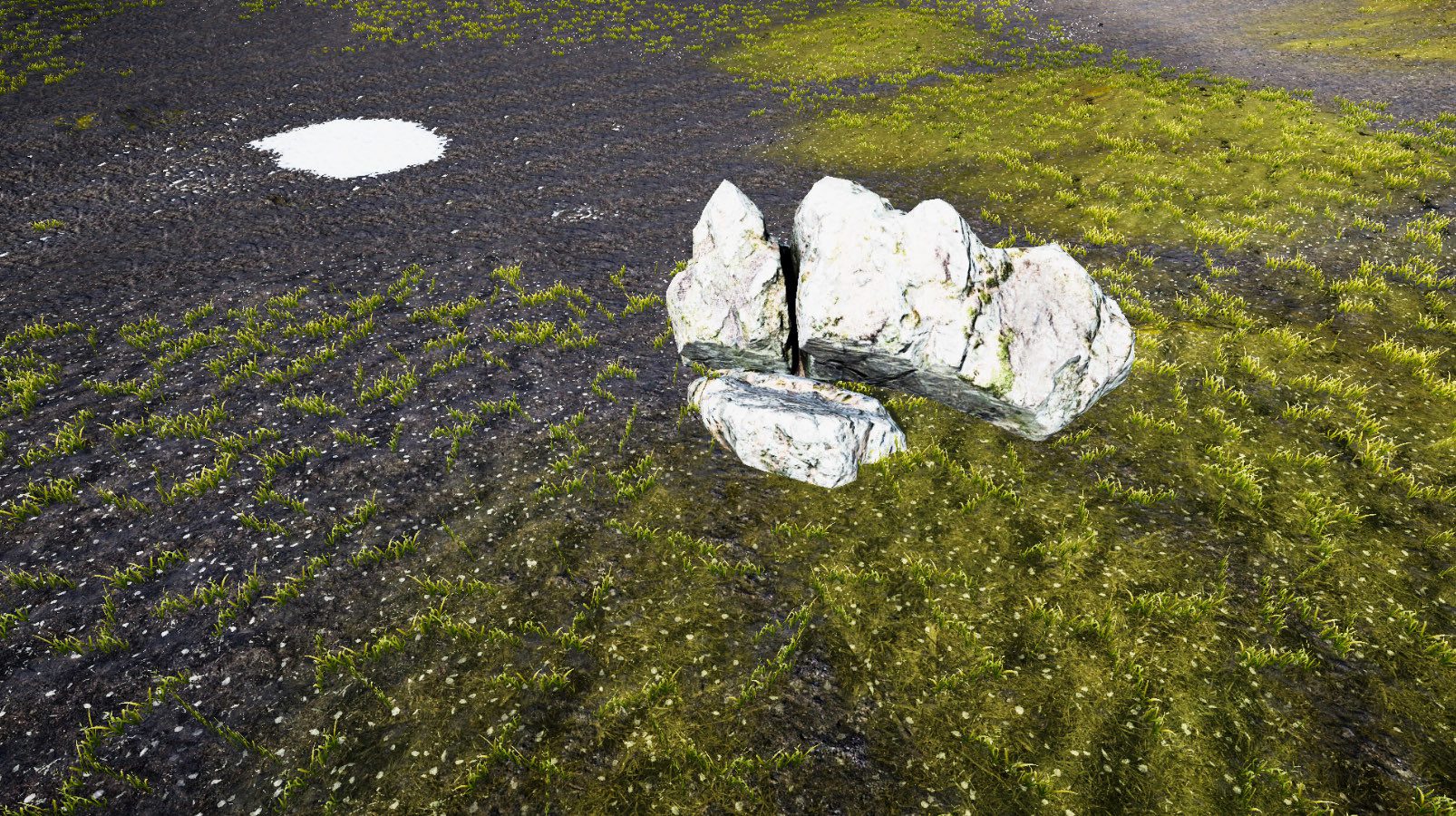 2021030531545902 金子是我的/GOLD IS MINE