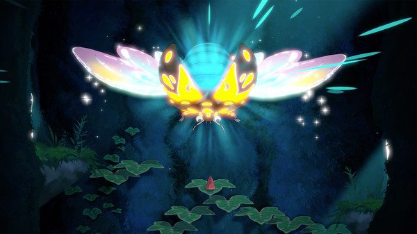 2020121921256788 花之灵/Hoa