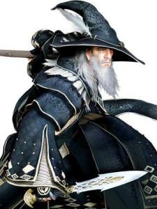 黑色沙漠/Black Desert 单机版 确保硬盘有40G空间推荐SSD固态硬盘