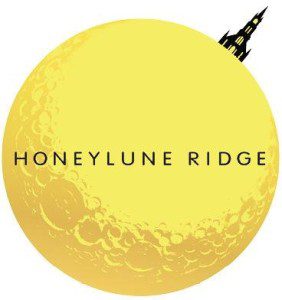 300-69 超级马里奥:奥德赛 -中文NS模拟器版