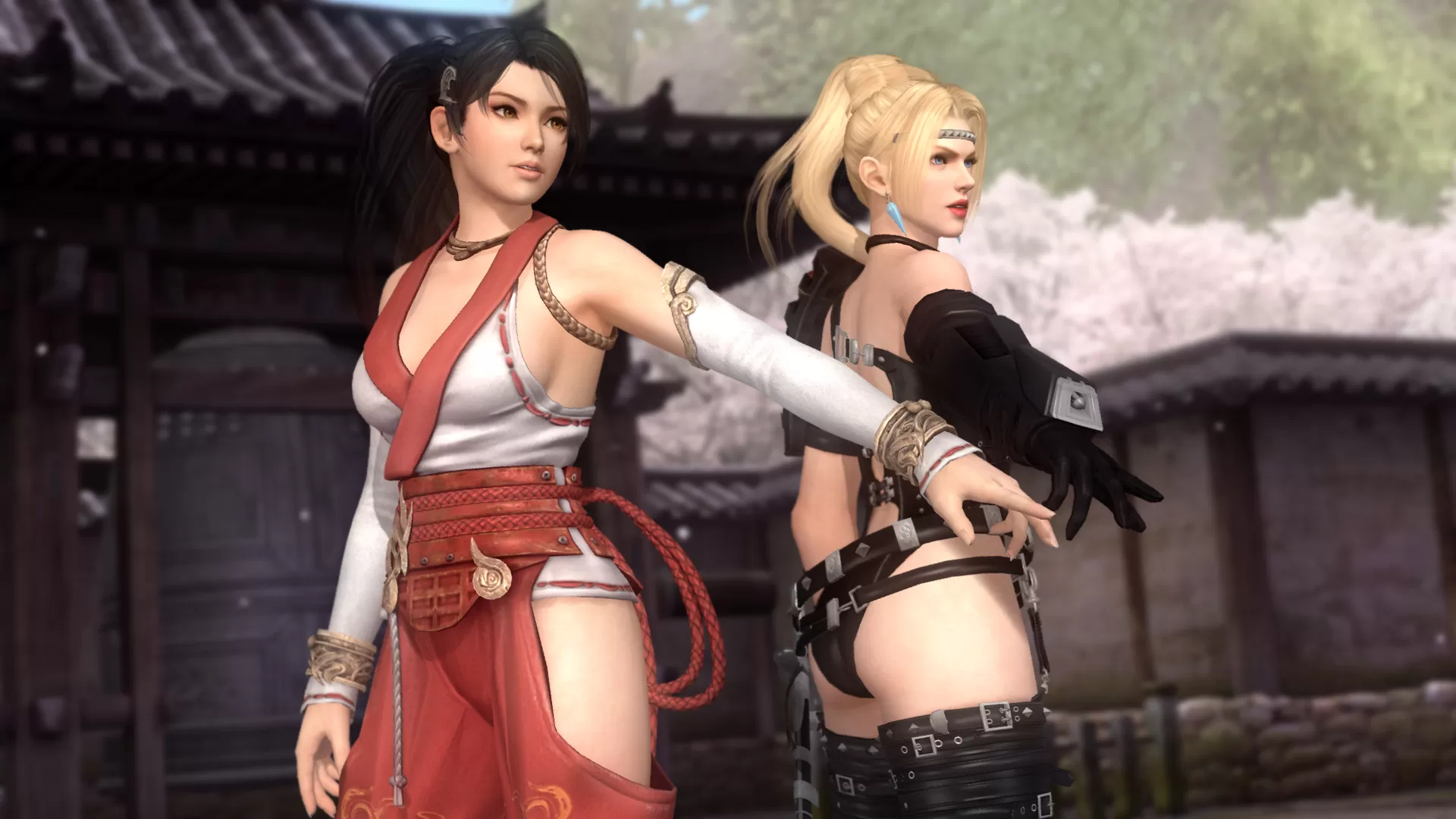 生或死5最后一战/DEAD OR ALIVE 5 Last Round: Core Fighters -v1.10中文绿色版豪华版TECMO50周年版