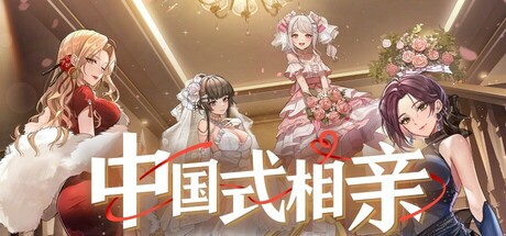 中国式相亲/Matchmaking Inc